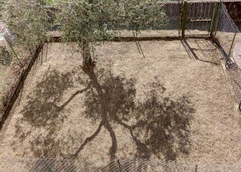 e3498431-a8d8-4e69-829f-73bbadb68bbd.jpg - Appartamento Fosdinovo - foto 14