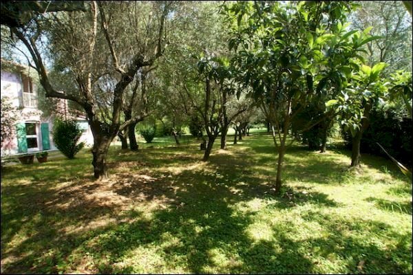 parco - Independent house Ameglia - photo 2