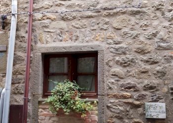 IMG-20191126-WA0014 (Copia).jpg - Terratetto - Terracielo Villafranca in Lunigiana - foto 28