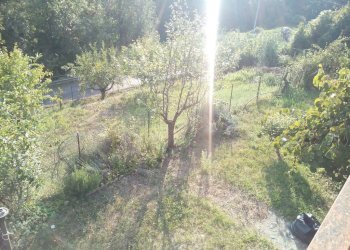 IMG_20180821_181307.jpg - Casa indipendente Fivizzano - foto 13