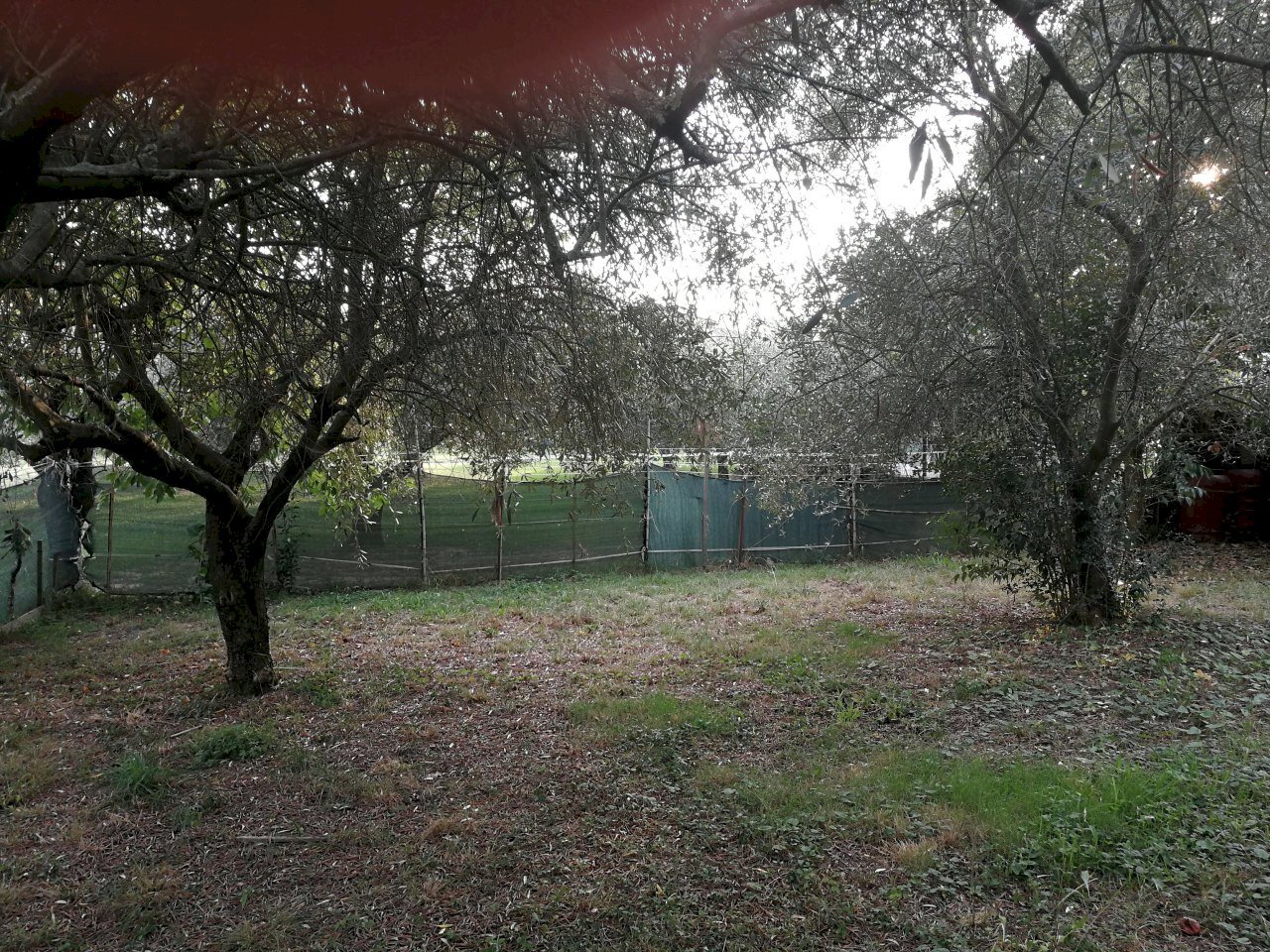 IMG_20180913_183750.jpg - Terreno edificabile Luni - foto 1