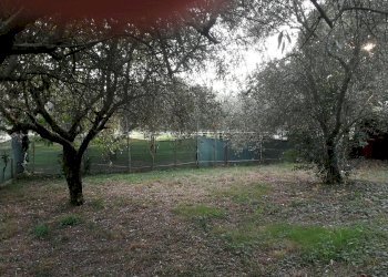 IMG_20180913_183750.jpg - Terreno edificabile Luni - foto 1