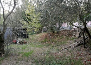 IMG_20180913_183754.jpg - Terreno edificabile Luni - foto 2