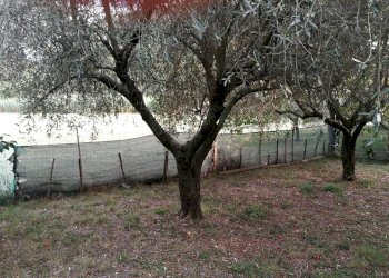 IMG_20180913_183803.jpg - Terreno edificabile Luni - foto 3