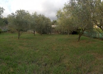 IMG_20180913_183851.jpg - Terreno edificabile Luni - foto 4