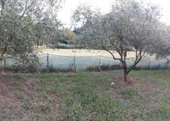 IMG_20180913_183925.jpg - Terreno edificabile Luni - foto 5