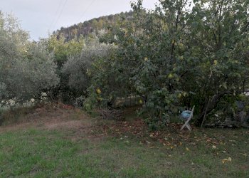 IMG_20180913_184138.jpg - Terreno edificabile Luni - foto 6