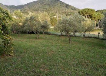 IMG_20180913_184141.jpg - Terreno edificabile Luni - foto 7