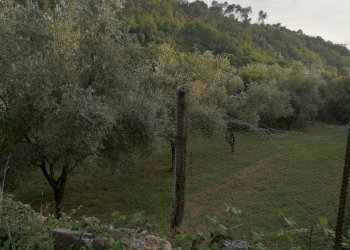 IMG_20180913_184335.jpg - Terreno edificabile Luni - foto 8