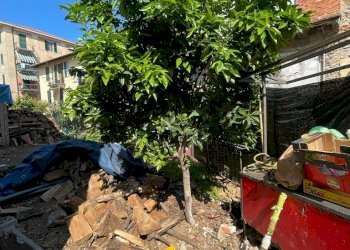 6a5b973a-ddb3-400f-a5a2-a105e0eefb28.jpg - Casa semi indipendente La Spezia - foto 14