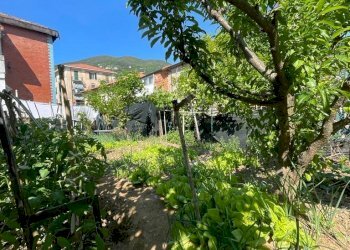 d1fdfb85-47ca-43be-902e-a63785786772.jpg - Casa semi indipendente La Spezia - foto 15