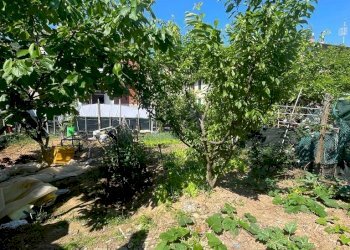 d8a24588-5570-4ff7-b296-3dd511ac4497.jpg - Casa semi indipendente La Spezia - foto 17