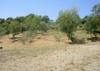 179186.jpg - Villa Podenzana - foto 6