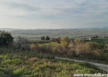 5.jpg - Terreno edificabile Collazzone - foto 5