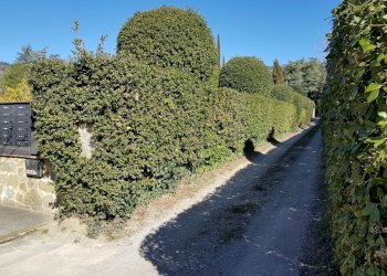 5.jpg - Appartamento Cortona - foto 9