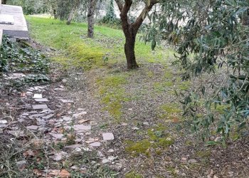 13.jpg - Villa Via Saturnia, Perugia - foto 14