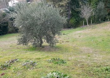 24.jpg - Villa Via Saturnia, Perugia - foto 24