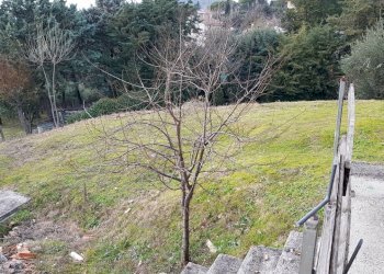 26.jpg - Villa Via Saturnia, Perugia - foto 26