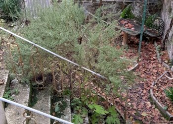 A7.jpg - Villa Via Dante Alighieri, San Quirico d'Orcia - foto 9