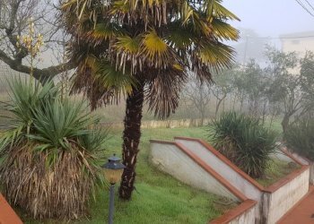 21.jpg - Portion of a house Via dei Lecci, Castiglione del Lago - photo 21