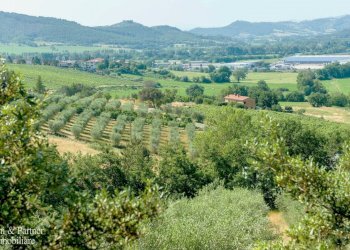 12.jpg - Albergo - Struttura ricettiva Magione - foto 12