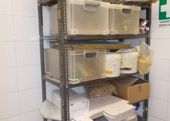 DSCN0568.JPG - Panificio - Pastificio Prato - foto 5