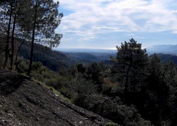 HPIM0017.jpg - Villa Via prulla, Sarzana - foto 9