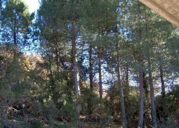 HPIM0019.jpg - Villa Via prulla, Sarzana - foto 11