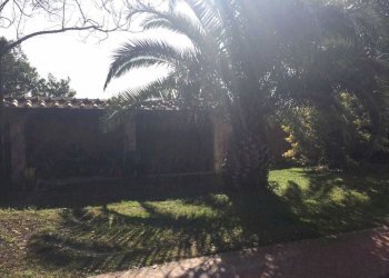 IMG-20190928-WA0011.jpg - Villa Viale Malaspina 19, Castelnuovo Magra - photo 12