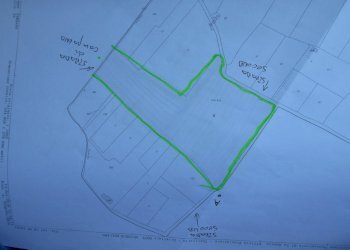 DSCN0500.jpg - Terreno agricolo Via Alta, Sarzana - foto 3