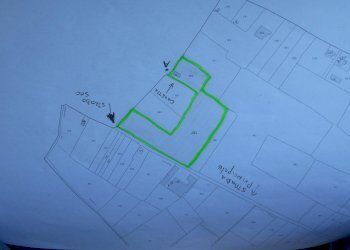 DSCN0501.jpg - Terreno agricolo Via Alta, Sarzana - foto 4