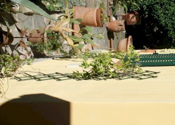 DSC00027.JPG - Villa Via Annunziata, Luni - foto 6