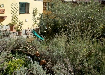 DSC00057.JPG - Villa Via Annunziata, Luni - foto 20