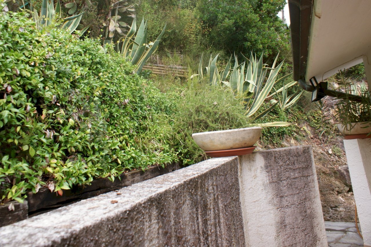 DSC09571.JPG - Casa semi indipendente Via C. A. Fabbricotti 18, Ameglia - foto 3