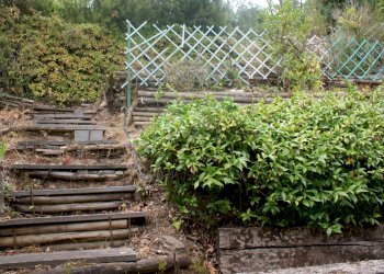 DSC09570.JPG - Casa semi indipendente Via C. A. Fabbricotti 18, Ameglia - foto 2