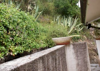 DSC09571.JPG - Casa semi indipendente Via C. A. Fabbricotti 18, Ameglia - foto 3