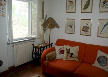 DSC09574.JPG - Casa semi indipendente Via C. A. Fabbricotti 18, Ameglia - foto 6