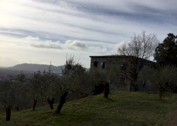 3.jpg - Villa Via Montefrancio 82, Castelnuovo Magra - foto 5
