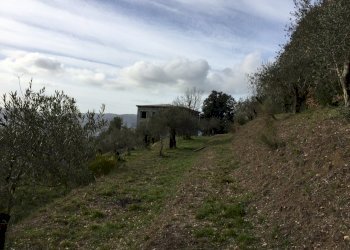 4.jpg - Villa Via Montefrancio 82, Castelnuovo Magra - foto 6