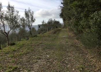 5.jpg - Villa Via Montefrancio 82, Castelnuovo Magra - foto 7