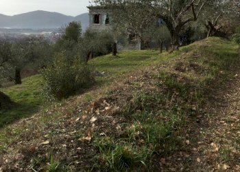19.jpg - Villa Via Montefrancio 82, Castelnuovo Magra - foto 16
