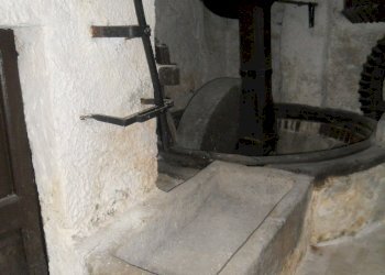 DSCN9118.jpg - Casale Castelnuovo Magra - photo 6