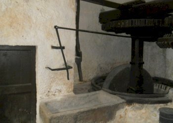 DSCN9120.jpg - Casale Castelnuovo Magra - photo 8