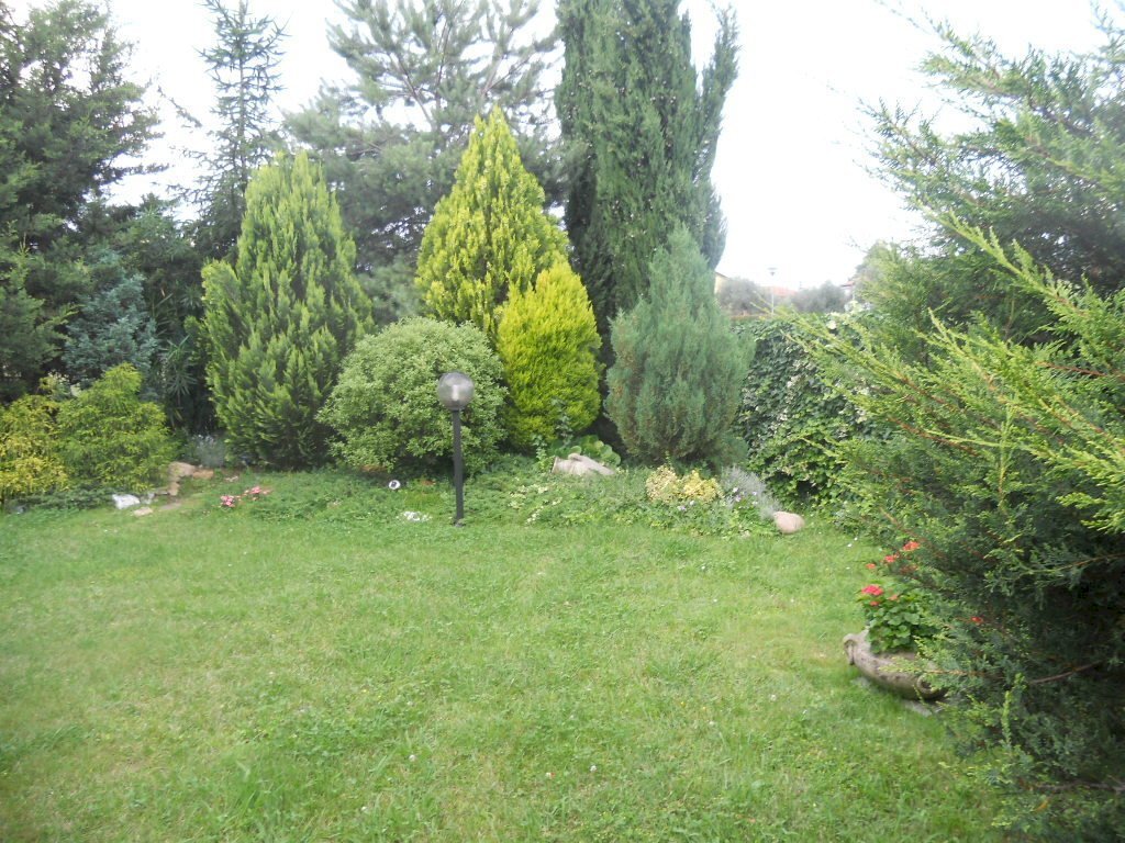 DSCN5780.jpg - Semi-detached house Via Caffaggiola 37, Luni - photo 3