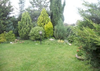 DSCN5780.jpg - Casa semi indipendente Via Caffaggiola 37, Luni - foto 3