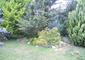 DSCN5782.jpg - Casa semi indipendente Via Caffaggiola 37, Luni - foto 5