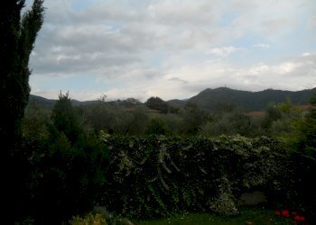 DSCN5784.jpg - Casa semi indipendente Via Caffaggiola 37, Luni - foto 7