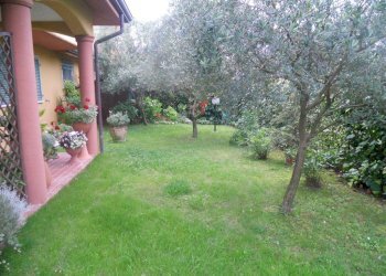 DSCN5786.jpg - Casa semi indipendente Via Caffaggiola 37, Luni - foto 9