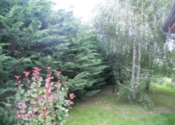 DSCN5787.jpg - Casa semi indipendente Via Caffaggiola 37, Luni - foto 10