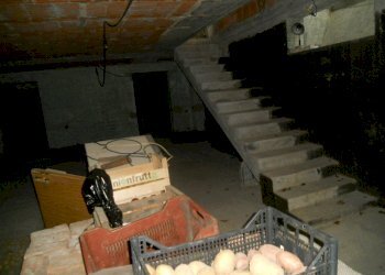 DSCN7536.jpg - Villa Via Canale 118, Castelnuovo Magra - photo 13